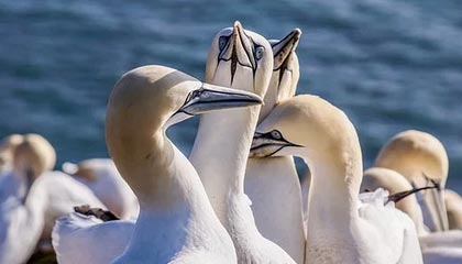 九游下载中心-【青训基地】培养未来明星的青训体系揭秘，青训新星